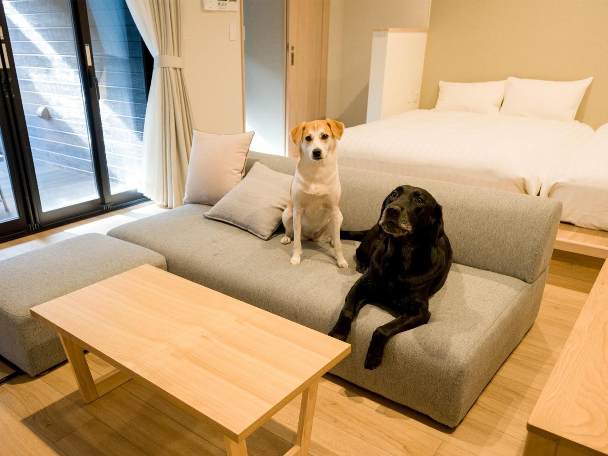 Rakuten Stay Nikko Hoden Capacity Of 8 Persons Buitenkant foto